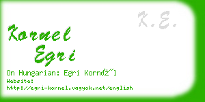 kornel egri business card